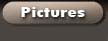 Pictures